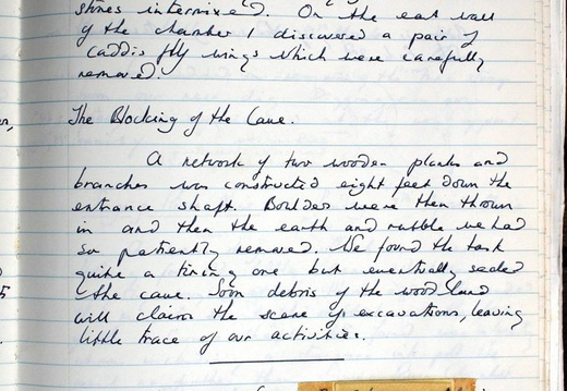 Page 021